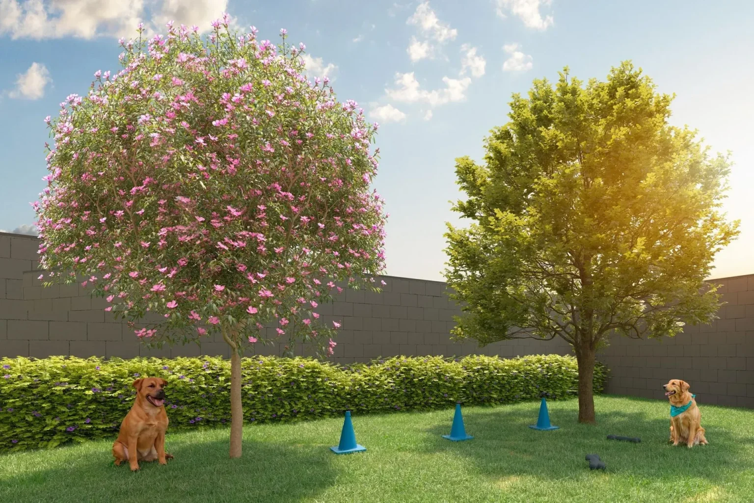 PETPLACE-1920w_resultado